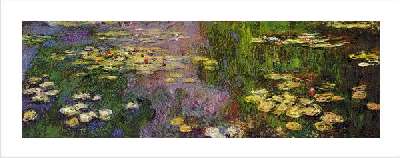 Waterlilies