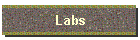 Labs